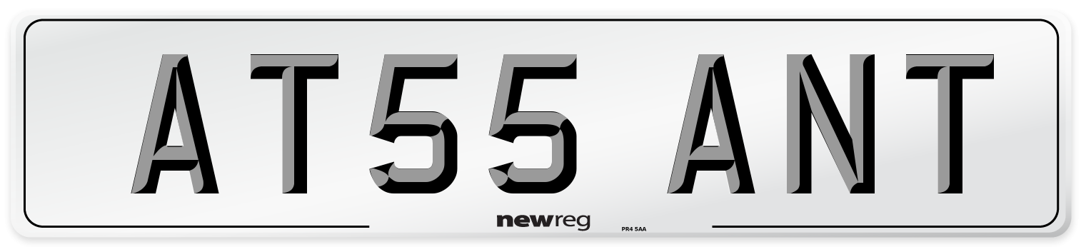 AT55 ANT Number Plate from New Reg